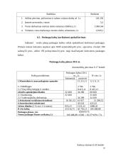 Verslo planas: automobilių  priežiūros salonas 18 puslapis