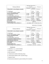 Verslo planas: automobilių  priežiūros salonas 19 puslapis