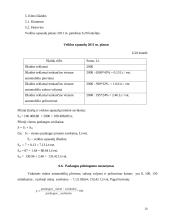 Verslo planas: automobilių  priežiūros salonas 20 puslapis