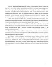 Verslo planas: automobilių  priežiūros salonas 3 puslapis