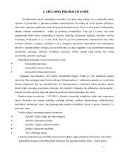 Verslo planas: automobilių  priežiūros salonas 4 puslapis