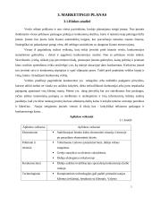 Verslo planas: automobilių  priežiūros salonas 5 puslapis