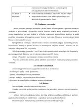 Verslo planas: automobilių  priežiūros salonas 6 puslapis