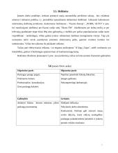 Verslo planas: automobilių  priežiūros salonas 7 puslapis