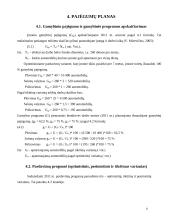 Verslo planas: automobilių  priežiūros salonas 8 puslapis