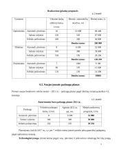 Verslo planas: automobilių  priežiūros salonas 9 puslapis