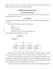 Verslo planas: automobilių  priežiūros salonas 10 puslapis
