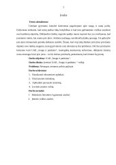 Verslo planas: daiktų apsauga UAB "Saugu ir patikima" 2 puslapis