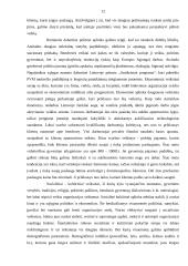 Verslo planas: daiktų apsauga UAB "Saugu ir patikima" 12 puslapis