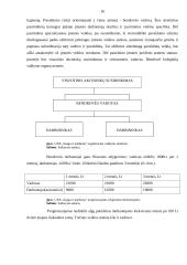 Verslo planas: daiktų apsauga UAB "Saugu ir patikima" 16 puslapis