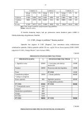 Verslo planas: daiktų apsauga UAB "Saugu ir patikima" 17 puslapis