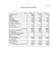 Verslo planas: daiktų apsauga UAB "Saugu ir patikima" 20 puslapis