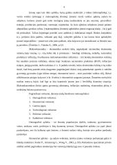 Verslo planas: daiktų apsauga UAB "Saugu ir patikima" 4 puslapis