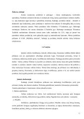 Verslo planas: kavinė "Gojus" 10 puslapis