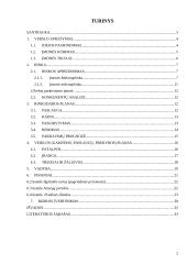 Verslo planas: naktinis klubas UAB "Linksmieji ratukai" 2 puslapis