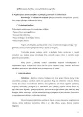 Verslo planas: naktinis klubas UAB "Linksmieji ratukai" 11 puslapis