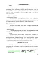 Verslo planas: naktinis klubas UAB "Linksmieji ratukai" 12 puslapis