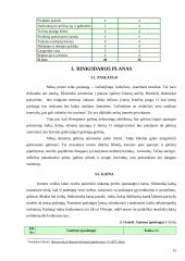 Verslo planas: naktinis klubas UAB "Linksmieji ratukai" 13 puslapis