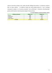 Verslo planas: naktinis klubas UAB "Linksmieji ratukai" 15 puslapis