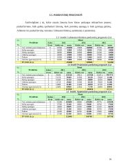 Verslo planas: naktinis klubas UAB "Linksmieji ratukai" 16 puslapis