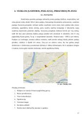 Verslo planas: naktinis klubas UAB "Linksmieji ratukai" 17 puslapis