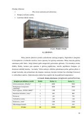 Verslo planas: naktinis klubas UAB "Linksmieji ratukai" 18 puslapis