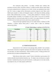 Verslo planas: naktinis klubas UAB "Linksmieji ratukai" 19 puslapis