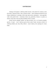 Verslo planas: naktinis klubas UAB "Linksmieji ratukai" 3 puslapis