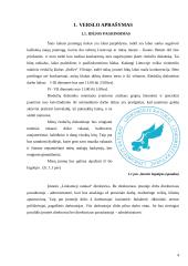 Verslo planas: naktinis klubas UAB "Linksmieji ratukai" 4 puslapis