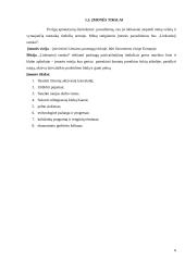 Verslo planas: naktinis klubas UAB "Linksmieji ratukai" 6 puslapis