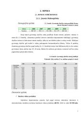 Verslo planas: naktinis klubas UAB "Linksmieji ratukai" 7 puslapis