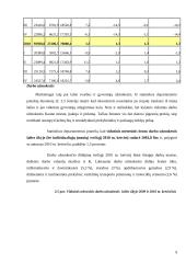 Verslo planas: naktinis klubas UAB "Linksmieji ratukai" 9 puslapis