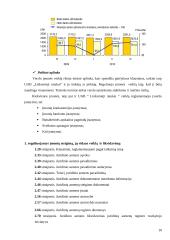 Verslo planas: naktinis klubas UAB "Linksmieji ratukai" 10 puslapis