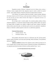 Verslo planas: picerija UAB "BIGpizza" 13 puslapis