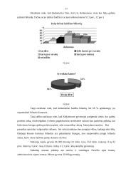 Verslo planas: picerija UAB "BIGpizza" 17 puslapis