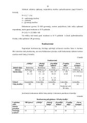 Verslo planas: picerija UAB "BIGpizza" 18 puslapis