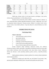 Verslo planas: picerija UAB "BIGpizza" 19 puslapis