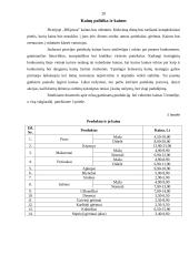 Verslo planas: picerija UAB "BIGpizza" 20 puslapis