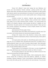 Verslo planas: picerija UAB "BIGpizza" 4 puslapis