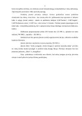 Verslo planas: picerija UAB "BIGpizza" 5 puslapis