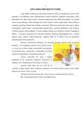 Verslo planas: picerija UAB "BIGpizza" 6 puslapis