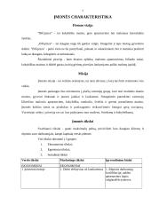 Verslo planas: picerija UAB "BIGpizza" 7 puslapis