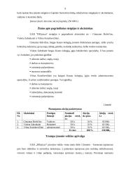 Verslo planas: picerija UAB "BIGpizza" 9 puslapis