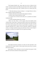 Verslo planas: triušininkystė UAB "Eustoma" 11 puslapis