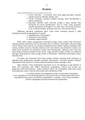 Verslo susijungimai ir jų vertinimas 11 puslapis