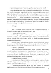 Vertybinių popierių rinkos Lietuvoje nagrinėjimas 2 puslapis