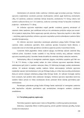 Vertybinių popierių rinkos Lietuvoje nagrinėjimas 10 puslapis