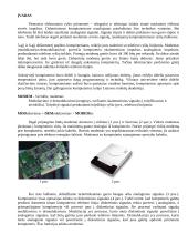 Vertiklis (modemas) 2 puslapis