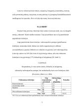 Vidurinioji klasė Lietuvoje 3 puslapis