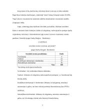 Vidurinioji klasė Lietuvoje 5 puslapis